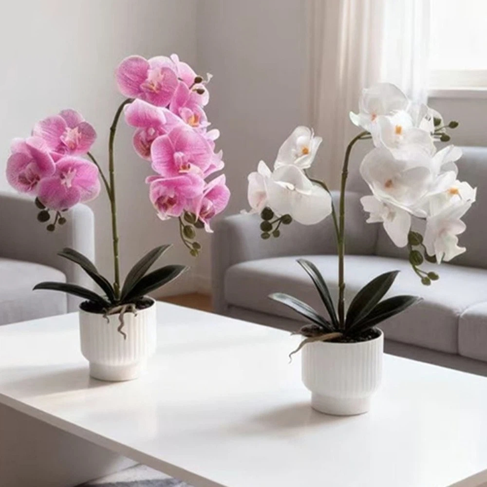 Multi-Bloom Simulated Butterfl - Orchid Phalaenopsis review and price