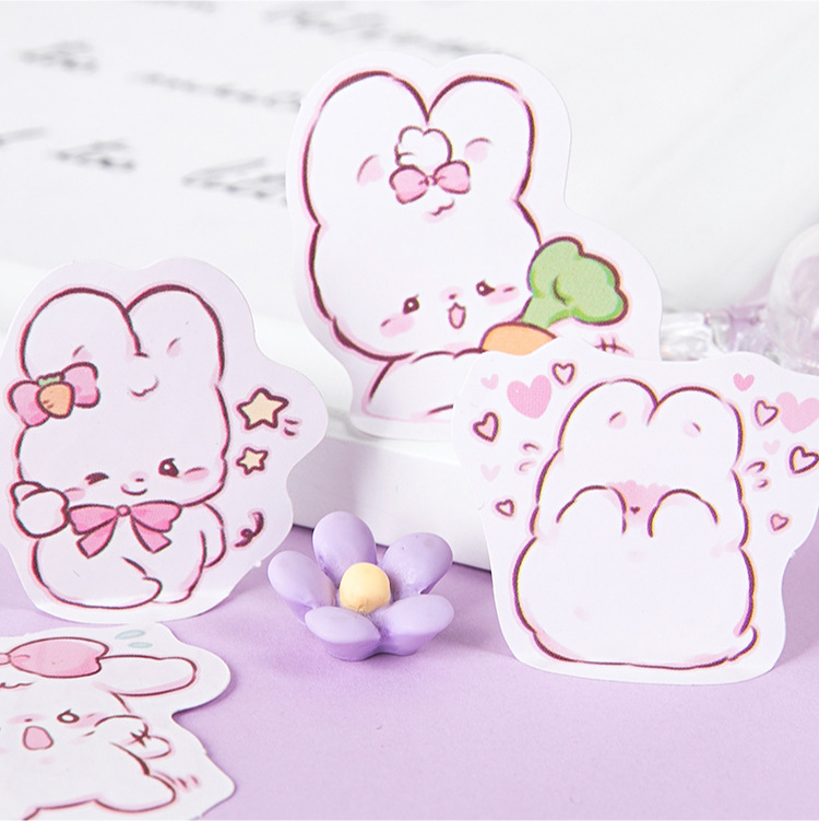 45 pcs/box Cute rabbit daily K - Planned Parenthood review and price