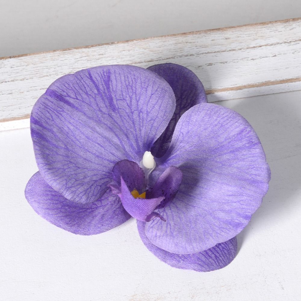 DIY Phalaenopsis Flower Head 1 - Orchid Phalaenopsis review and price
