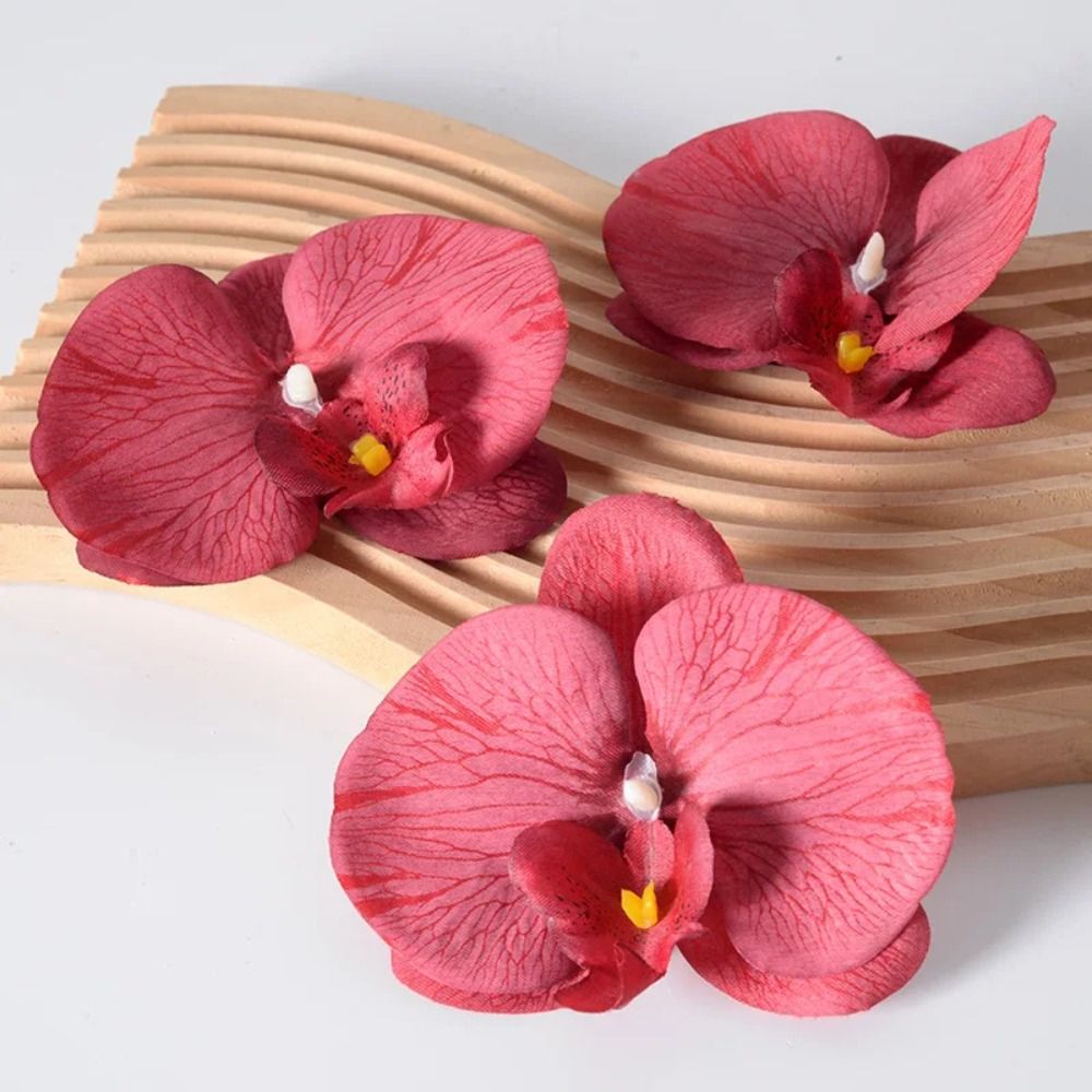 DIY Phalaenopsis Flower Head 1 - Orchid Phalaenopsis review and price