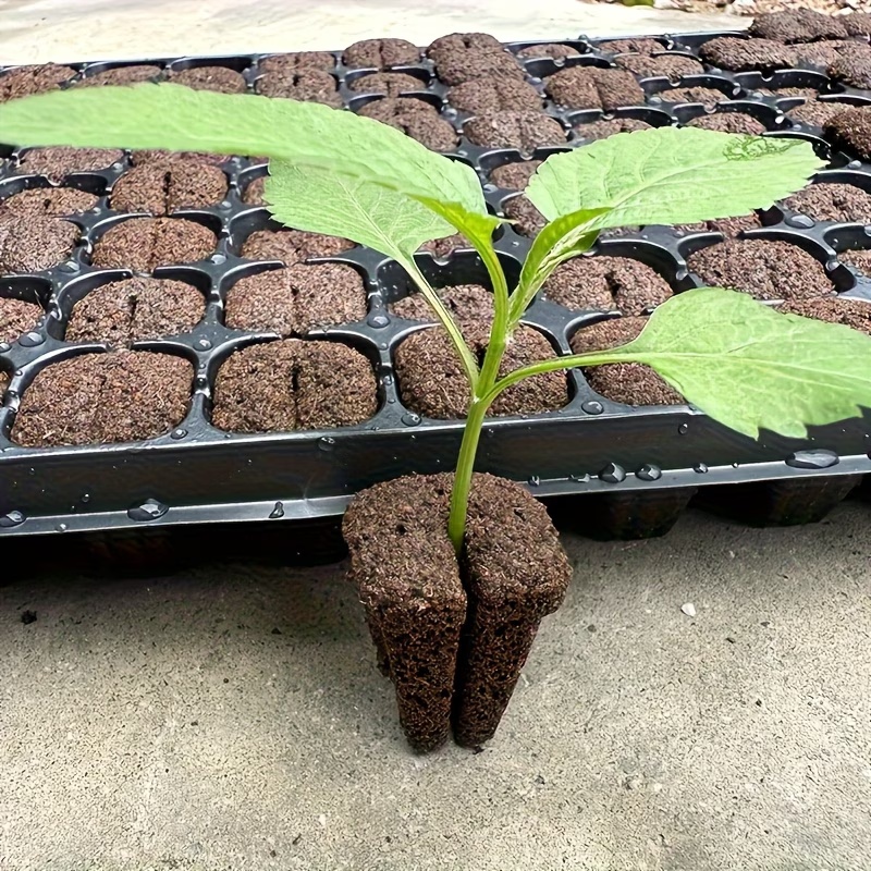 Hydroponic Rapid Grow Rooting  - Orchid Phalaenopsis review and price